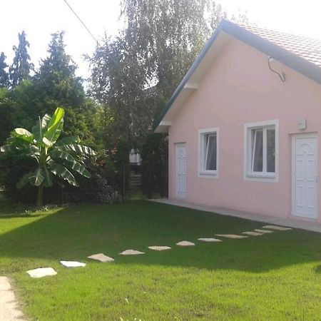 Apartman Garden House Voždivac 外观 照片