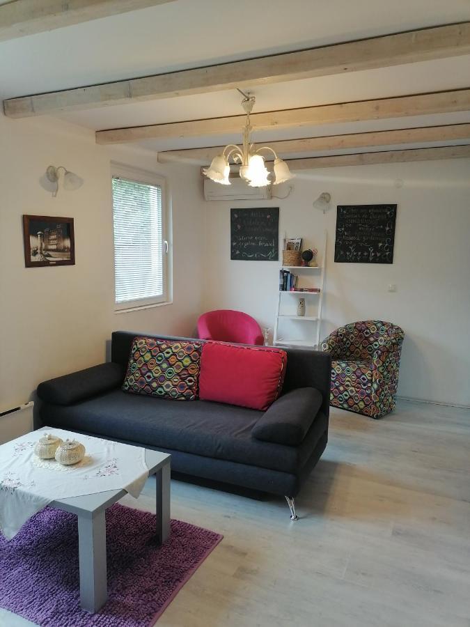 Apartman Garden House Voždivac 外观 照片