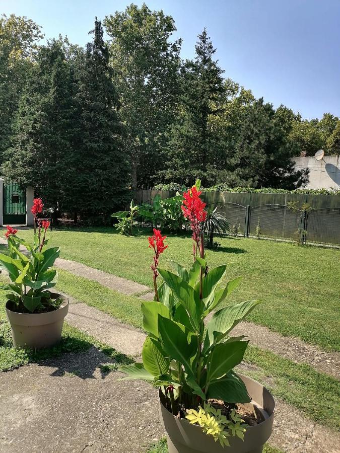 Apartman Garden House Voždivac 外观 照片